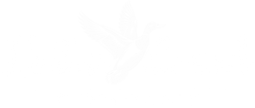 Hollow Creek Clothing Co.